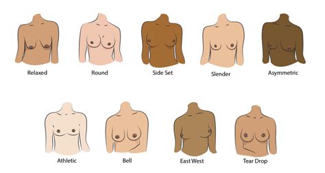 Breast Shape Dictionary – Finding Your Breast Shape & Type